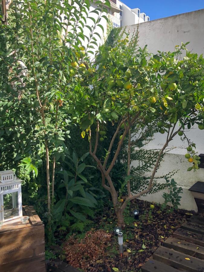 Garden Apartment Lisboa المظهر الخارجي الصورة